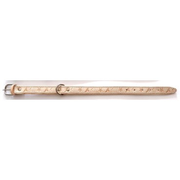 COLEIRA REF.COSIDA ARG.FIV....